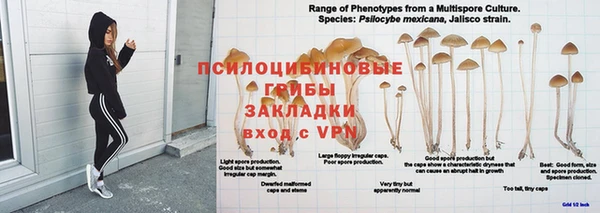 тгк Алексеевка