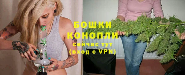 прущие грибы Пролетарск