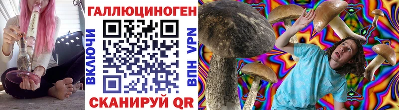 гидра зеркало  купить наркотики сайты  Анива  Псилоцибиновые грибы MAGIC MUSHROOMS 